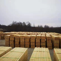 Madera de Pino Secada en Horno, Estándar Australiano MGP-10, Madera de Pino Blanca, Madera MGP 10 para Construcción de Estructuras