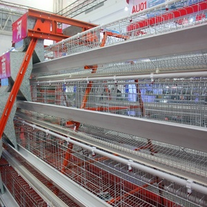 Sistema Automático de Eliminación de Estiércol para Jaulas de Aves de Corral Tipo A/Gallinero para Gallinas Ponedoras - Product Image 1