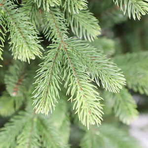 Vente en gros de simulation d'arbres de Noël de luxe nouveau design d'arbres de Noël de 7,5 pieds décoration de vacances d'arbres de Noël - Product Image 3