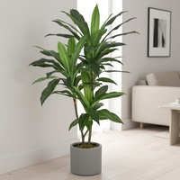 OH Arbre artificiel Dracaena ignifuge et résistant aux UV, toucher réel, Arbre du dragon de Madagascar pour la décoration d'hôtels et d'espaces professionnels
