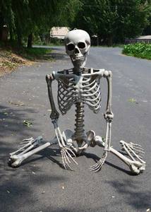 Artículo en Venta Caliente: Esqueleto de Plástico Simulado SKB59 para Exhibición en KTV, Bares, Salas de <span class=keywords><strong>Escape</strong></span> y Escenarios de Terror - Product Image 6