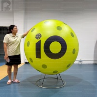 Ballon de pickleball gonflable géant de 1m, 2m, 3m avec logo personnalisé et LED lumineuses pour tournoi nocturne/publicité/marché de niche des clubs