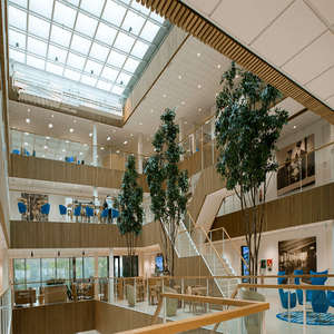 Decoración con arboles falsos Edificios de oficinas y negocios Ficus Banyan artificiales en <span class=keywords><strong>el</strong></span> Centro Marítimo Internacional - Product Image 5