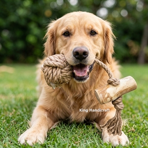 Natural Coffee Wood Dog Toy with Durable Hemp <b>Rope</b> Eco-Friendly Pet Chew Toy for Aggressive Chewers Dental Care Wholesale - Product Image 5