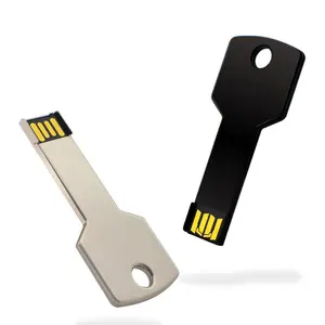 Mini chiavetta USB di forma chiave 64GB 32GB 16GB 8GB chiavetta USB 2.0 memoria di USB con il vostro Logo su misura