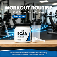 L-Glutamine sans sucre pour adultes, boisson de récupération musculaire après l'entraînement, acides aminés, 10-19g de protéines, poudre de BCAA, 540g, HALAL, OEM