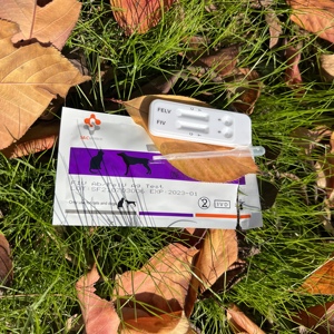 Instrumento de diagnóstico rápido FELINE para testes de ANTÍGENO do vírus Calicivirus + Herpes para uso veterinário. - Product Image 6