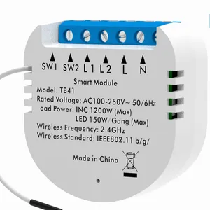 TB41 modul saklar pintar rumah 2 saluran, modul sakelar WiFi