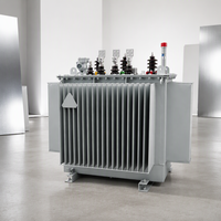 10KV 11KV 50 KVA 100 KVA 200 KVA Orta Gerilim Yüksek Gerilim Yağlı Tip Dağıtım Trafosu Akıllı Enerji Dağıtımı için