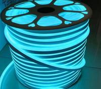 Taille personnalisée 220V Silicone LED Néon Bande Lumières IP67 PVC Lampe Corps Découpable Guirlandes Lumineuses Paysages Extérieurs Décorations Plug