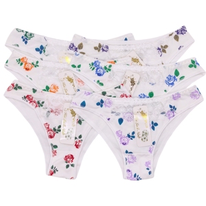 Vente chaude femmes culottes haute qualité coton en gros 12 pièces/paquet mélanger les couleurs une douzaine de femmes culottes <span class=keywords><strong>petite</strong></span> taille <span class=keywords><strong>culotte</strong></span> - Product Image 4