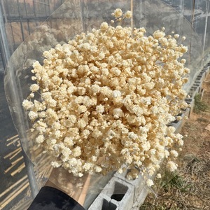 Lot en vrac de 400g-500g de Gypsophile séché pour la confection de cadeaux d'anniversaire, de cadeaux de fêtes et de bouquets - Product Image 3