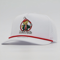 Hoge Kwaliteit Custom Golf Hoed 5 Panel Borduurwerk Logo Waterdicht Laser Gesneden Heren Snapback Caps Luipaard Dot Argyle Dobby Oxford