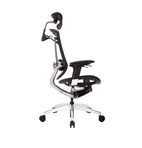 Ergonomic Mesh Chair Executive Office Chair Good Quality