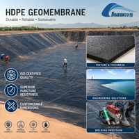Géomembrane HDPE texturée simple ou double pour les bassins de rejet miniers et le traitement des eaux usées industrielles
