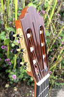 Master Made Friederich Ceder Top Rosewood Professional Classical Guitar