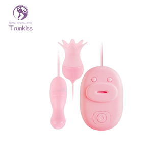 Neue Modelle von Vibrations-Eiern für Erwachsene zur Stimulation und Vibration in der <span class=keywords><strong>Vagina</strong></span>, ABS-Material, Vibrator für Frauen - Product Image 3