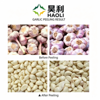 HAOLI 2024 Machine industrielle automatique à éplucher les oignons et les aillets, en acier inoxydable, haute productivité