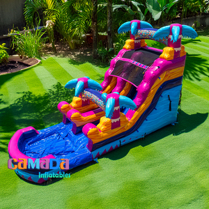 <span class=keywords><strong>2025</strong></span> Thiết Kế Mới Đá Cẩm Thạch Đầy Màu Sắc <span class=keywords><strong>Inflatable</strong></span> Trượt Nước Nhiệt đới Cây Cọ Thương Mại Cho Thuê Mùa Hè Trò Chơi Dưới Nước Cho Cậu Bé Và Cô Gái - Product Image 2