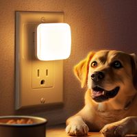 ZHILAI Mini Lampe de Nuit LED Moderne 0.3W Non Dimmable 3000K Blanc Chaud avec Capteur Crépusculaire, à Brancher, pour Chambre et Cuisine, IRC80