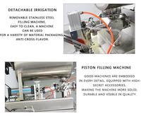 Machine de remplissage et de scellage de liquides pour sacs en plastique à petite échelle (eau, jus)