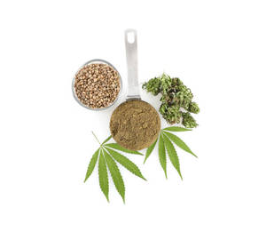 Poudre de protéines de graines de chanvre de haute qualité 60 %, approvisionnement direct usine, riche en acides aminés essentiels, idéale pour les boissons protéinées - Product Image 5