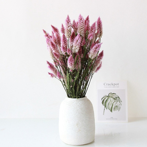 Ramo de Flores de <span class=keywords><strong>Celosia</strong></span> Secas Naturales, Ramo de Flores Secas Preservadas Reales para Decoración del Hogar, Arreglos Florales para Bodas - Product Image 4