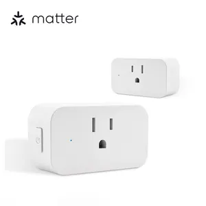 15A Alexa Google Homekit SmartThings Télécommande vocale Fonction minuterie Prise intelligente avec matière