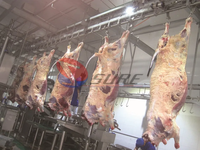 Équipement d'abattoir miniature à haute efficacité, machine de transformation de la viande pour l'abattage du bétail, machine d'abattage de boeuf pour l'abattoir