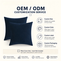 Housse de coussin carrée décorative en velours OEM ODM, couleur unie