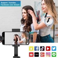 Plug Play Wireless Lay Lavalier Microphone pour YouTube Livestream Video Recording Microphone sans fil