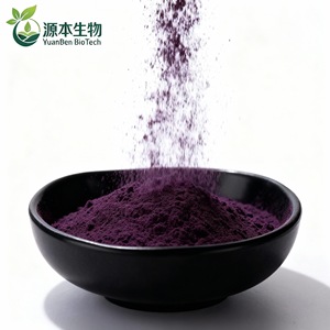 Organic Natural Pigment Black <strong>Carrot</strong> Powder Concentrate Root <strong>Extract</strong> - Product Image 3