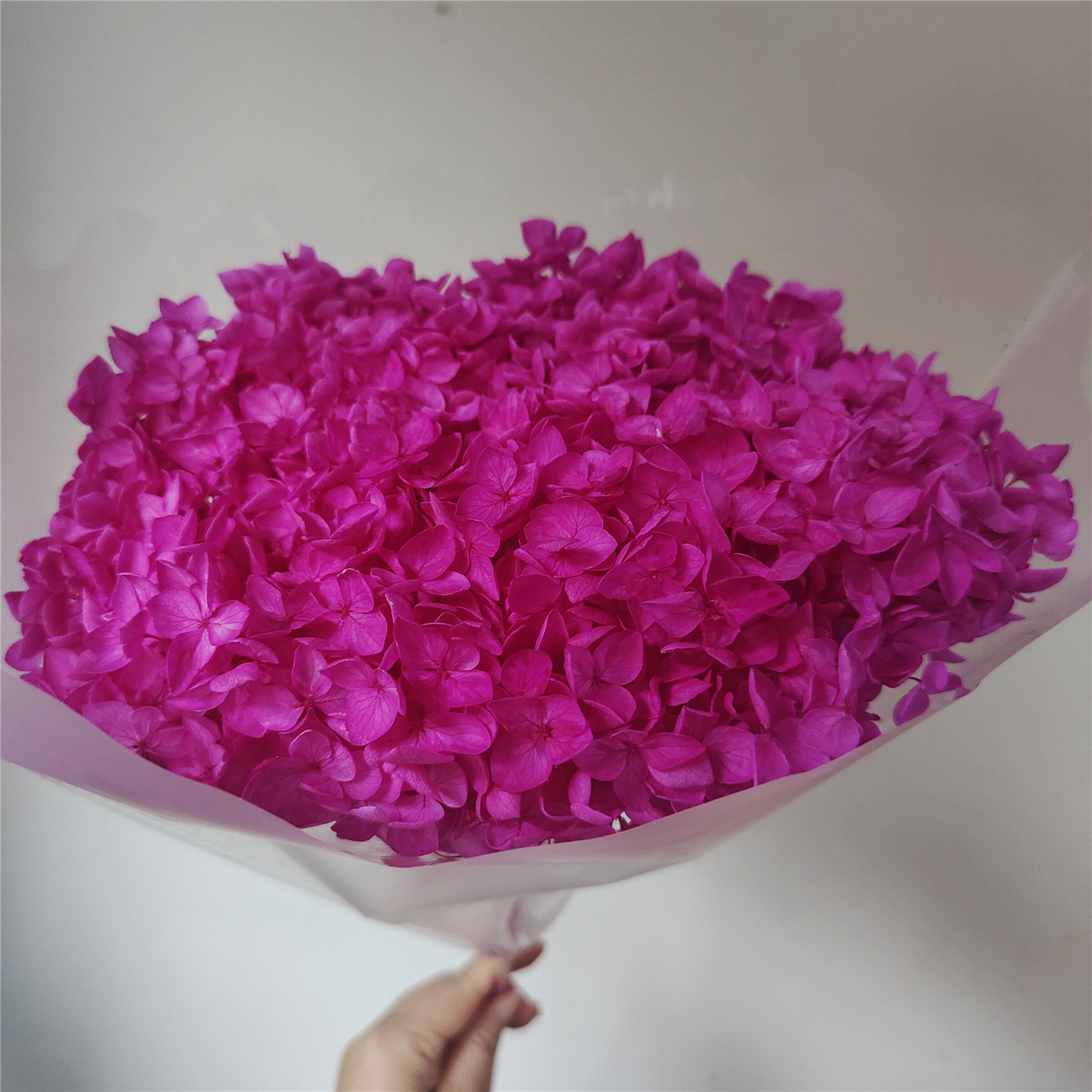 Dark purplish red, 18-21 cm