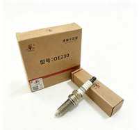 Bougie d'allumage haute performance TORCH OE230 Iridium Platinum, espacement de 0,7 mm, M12x1,25 pour moteur H15RT H15R 1.5T 1.5L