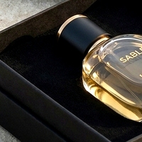 Boîte à parfum rigide noire de luxe personnalisée en deux parties avec couvercle amovible et insert ajusté pour présentation