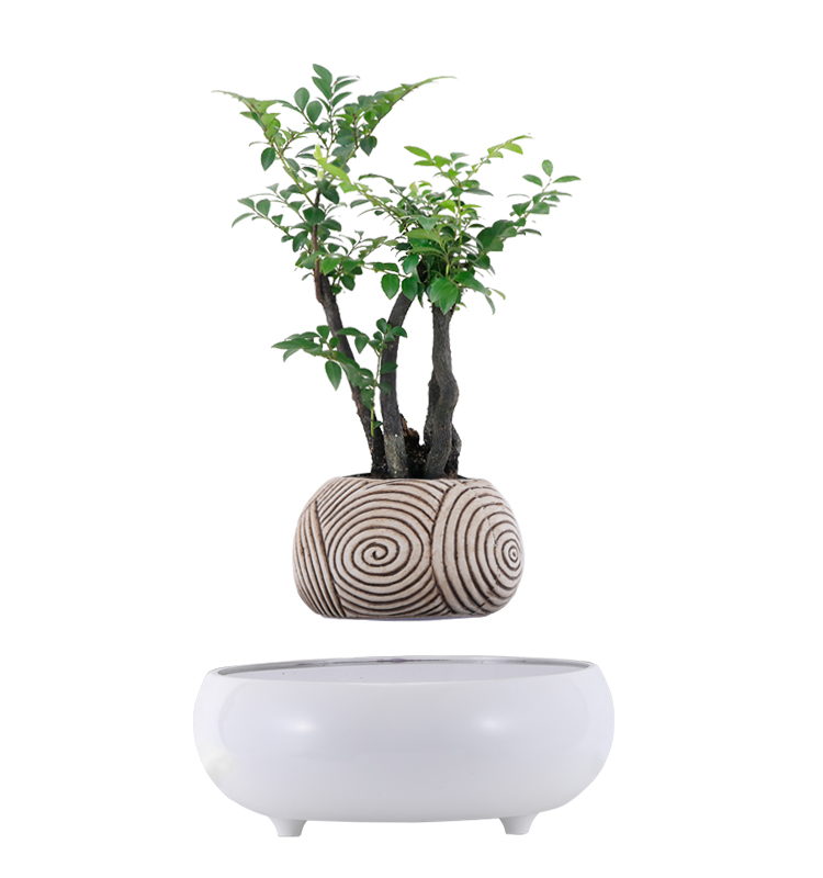 Ornamental Indoor Tisch Bro Schreibtisch dekorative flache Kruter  schwimmende Bonsai Topf Haushalts waren Blumentpfe fr Pflanzen