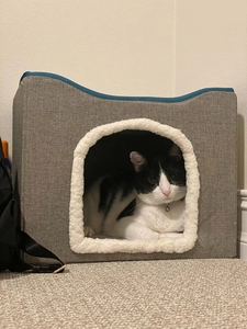 Lits pliables pour chats, grotte pour l'intérieur avec coussin à gratter, grande maison pour chats, intérieur avec trou, grotte pour chats, lit, maison à gratter, Hidewawy - Product Image 4