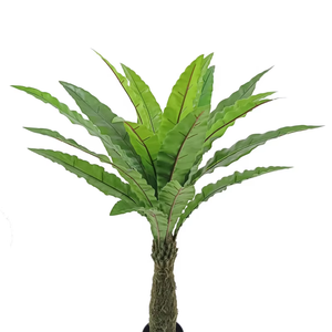 Oh Arts Best Selling 120cm 4ft Arbre Bonsaï Artificiel Plante d'Intérieur Fougère Asplenium Nidus - Product Image 3