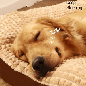 Duradero de lujo cómodo sofá cama para mascotas lavable personalizado <span class=keywords><strong>XXL</strong></span> 3xl camas para perros grandes - Product Image 5