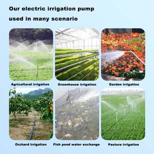 Bomba de Agua Centrífuga de Succión Final de 500 GPM y 22KW, Bomba de Riego Agrícola, Bomba de Refuerzo para Agua Limpia - Product Image 5