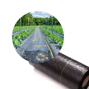 PE PP woven agricultural greenhouse uv treated anti plastic weed control mat nonwoven ground cover