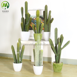 Nuevo estilo Cactus artificial Ajustes para el hogar Cactus falso decorativo <span class=keywords><strong>Bonsai</strong></span> Faux <span class=keywords><strong>Pera</strong></span> Espinosa a prueba <span class=keywords><strong>de</strong></span> agua para decoración interior - Product Image 3