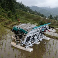 Transplanteuses de riz manuelles à 5 positions, espacement des semis 120-210 mm, pour petits terrains, profondeur réglable, directement de l'usine (OEM/ODM)