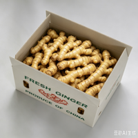 Boîte à gingembre pliable en PP ondulé, étanche, réutilisable, ventilée, lavable, empilable, écologique, recyclable, en plastique, pour produits frais