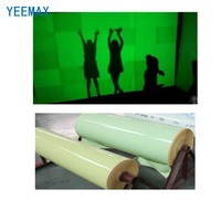 YEEMAX Paquete de 2 Vinilos Adhesivos Fotoluminiscentes Brillantes de PVC PET que Brillan en la Oscuridad de 2 a 10 Horas, Súper Brillantes, para Advertencia de Seguridad Automotriz