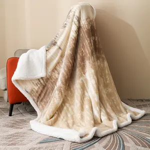 Double Layer Lamb Plush Blanket Flannel 50 * 60 Inches Factory Stock Wholesale Thickened Leisure Sofa Cover Blanket