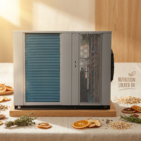 RVS warmtepompdroger voor de verwerking van gekonfijte ananas met glazuur, 130 kg, regelbare vochtigheid