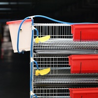 Nouvelles cages pour cailles et volailles - Fil d'acier à faible teneur en carbone, antirouille, durable, capacité de 200 à 400 cailles/ensemble