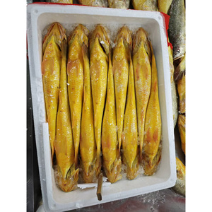 Prix <span class=keywords><strong>du</strong></span> poisson croaker <span class=keywords><strong>jaune</strong></span> frais congelé, entier et rond, de 500-600g, IQF, pour les États-Unis - Product Image 6