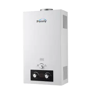 Golden supplier good price LPG NG instant tankless zero pressure gas hot water heater with indoor home